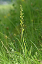 BUITEN BEELD Foto: 297521