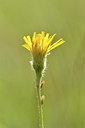 BUITEN BEELD Foto: 297529