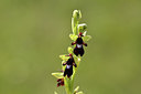 BUITEN BEELD Foto: 297531
