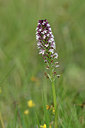 BUITEN BEELD Foto: 297534
