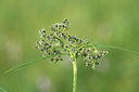 BUITEN BEELD Foto: 297545