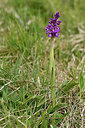 BUITEN BEELD Foto: 297548