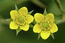 BUITEN BEELD Foto: 297556