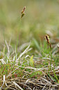 BUITEN BEELD Foto: 297562