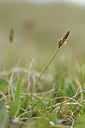 BUITEN BEELD Foto: 297563