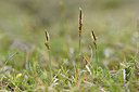 BUITEN BEELD Foto: 297565