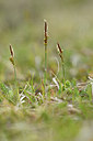 BUITEN BEELD Foto: 297566
