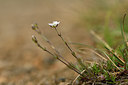 BUITEN BEELD Foto: 297574