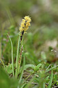 BUITEN BEELD Foto: 297581