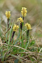 BUITEN BEELD Foto: 297582