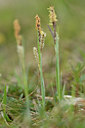 BUITEN BEELD Foto: 297584