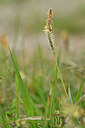 BUITEN BEELD Foto: 297585
