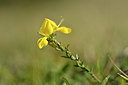 BUITEN BEELD Foto: 297592