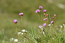 BUITEN BEELD Foto: 297604