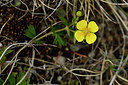 BUITEN BEELD Foto: 297616