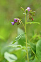 BUITEN BEELD Foto: 297644