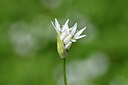 BUITEN BEELD Foto: 297650