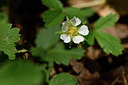 BUITEN BEELD Foto: 297653