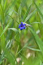 BUITEN BEELD Foto: 297656