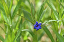 BUITEN BEELD Foto: 297657