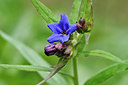 BUITEN BEELD Foto: 297661