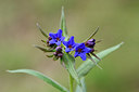 BUITEN BEELD Foto: 297662