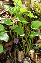 BUITEN BEELD Foto: 297673