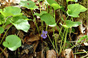 BUITEN BEELD Foto: 297674