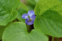 BUITEN BEELD Foto: 297676
