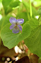 BUITEN BEELD Foto: 297679