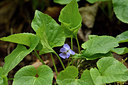 BUITEN BEELD Foto: 297680