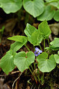 BUITEN BEELD Foto: 297681