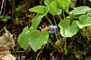 BUITEN BEELD Foto: 297682