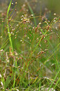 BUITEN BEELD Foto: 297699