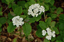 BUITEN BEELD Foto: 297701