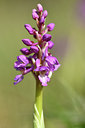 BUITEN BEELD Foto: 297708