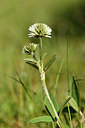 BUITEN BEELD Foto: 297740