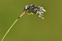 BUITEN BEELD Foto: 297742