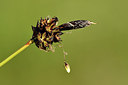 BUITEN BEELD Foto: 297743