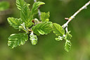 BUITEN BEELD Foto: 297748