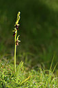 BUITEN BEELD Foto: 297756