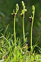 BUITEN BEELD Foto: 297770