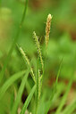 BUITEN BEELD Foto: 297777