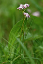 BUITEN BEELD Foto: 297781