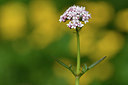 BUITEN BEELD Foto: 297783