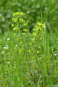 BUITEN BEELD Foto: 297785