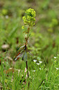 BUITEN BEELD Foto: 297787