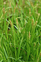 BUITEN BEELD Foto: 297791