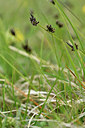 BUITEN BEELD Foto: 297793