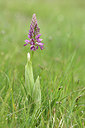 BUITEN BEELD Foto: 297796